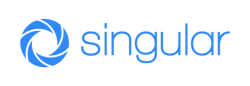 Singular Singular